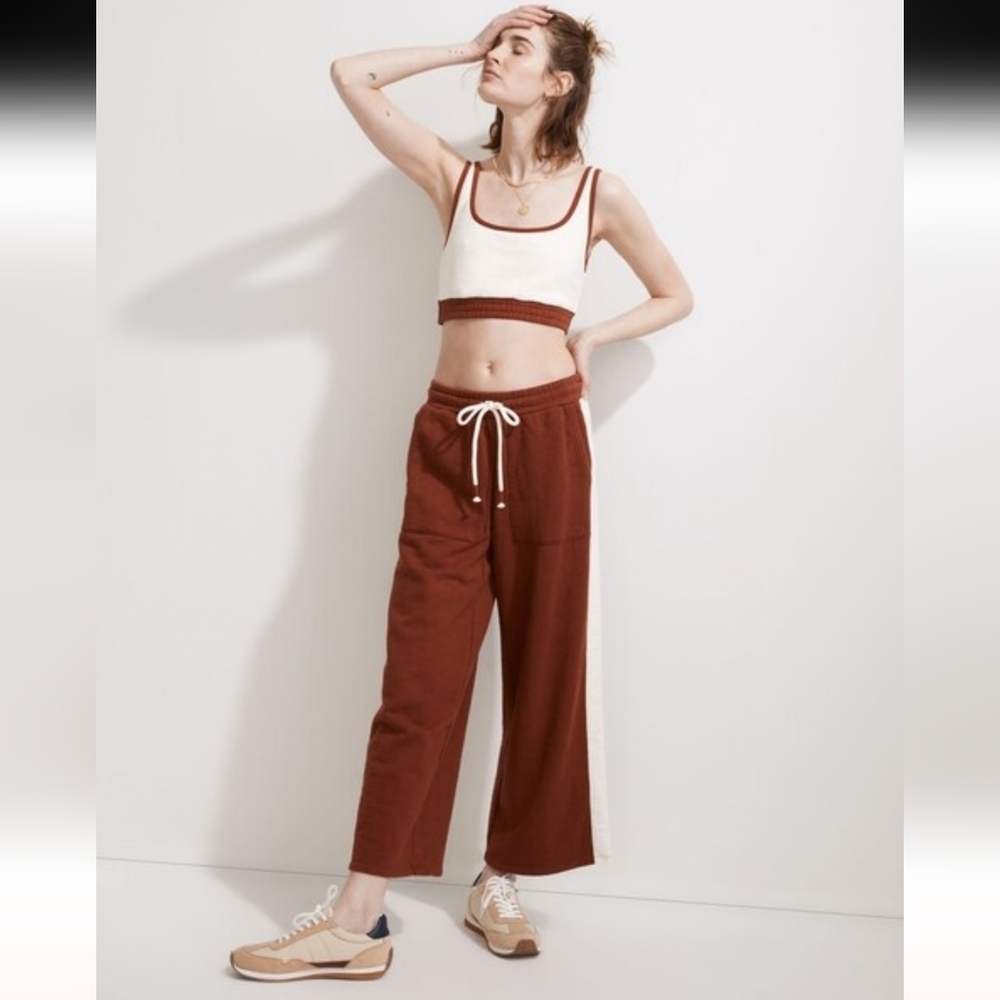 Madewell Rust Wide-Leg Pants with Cream Stripe - Picture 3 of 8
